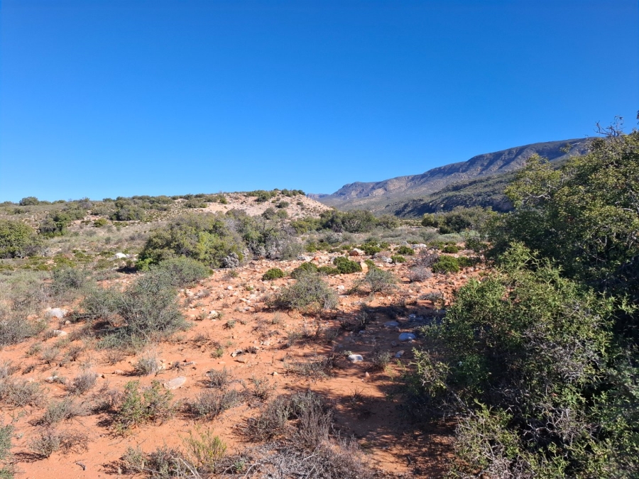  Bedroom Property for Sale in Ladismith Rural Western Cape
